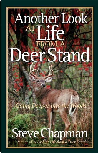 Another Look at Life from a Deer Stand