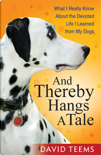 And Thereby Hangs a Tale