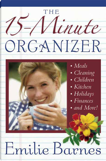 The 15-Minute Organizer