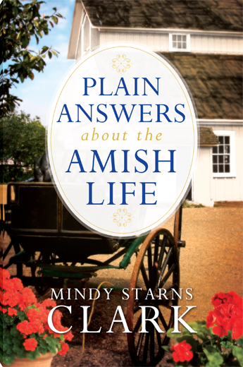 Plain Answers About the Amish Life
