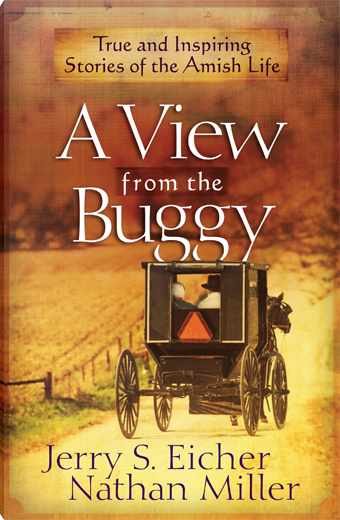 A View from the Buggy