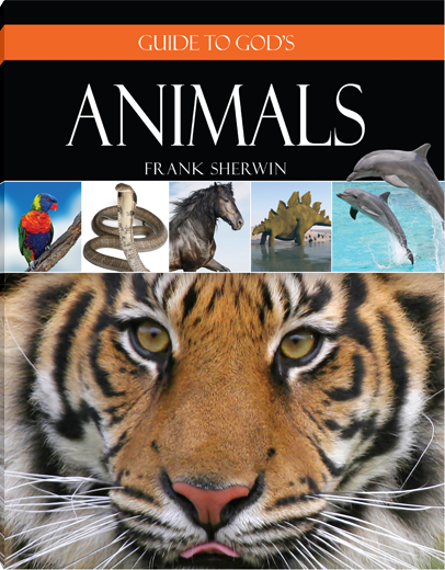Guide to God's Animals