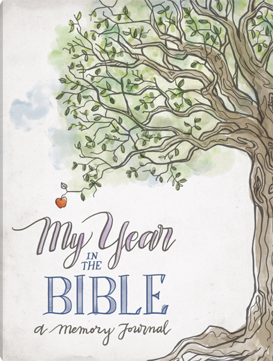 My Year in the Bible