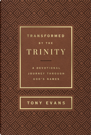 Transformed by the Trinity (Milano Softone)