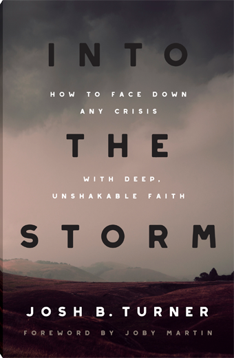 Into the Storm