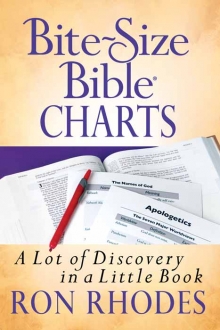 Bite-Size Bible Charts
