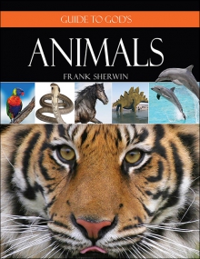 Guide to God’s Animals
